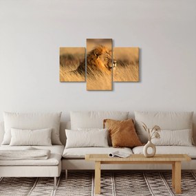 Tablou - Parcul Național Etosha (90x60 cm)