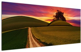 Tablou câmpului cu apus de soare (120x50 cm)