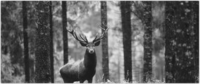 Tablou - Căprioare in pădure 2,alb-negru (120x50 cm)