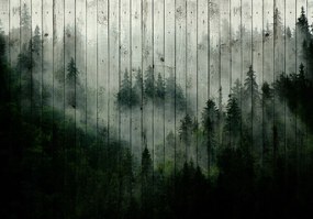 Fototapet - Ceața de pădure (254x184 cm), în 8 de alte dimensiuni noi