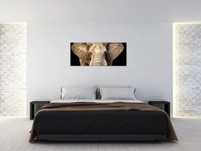 Tablou - Elefant african (120x50 cm)
