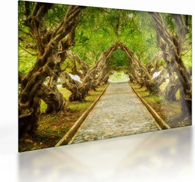 Tablou pe sticlă - Tunel viu din plumeria (70x50 cm)