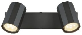 Plafoniera cu 2 Spoturi directionabile metal negru JAMES