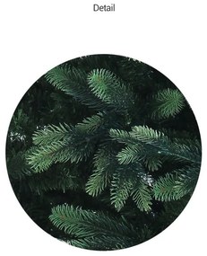 Brad de Crăciun 'Choinka', pom Newada, 180 cm