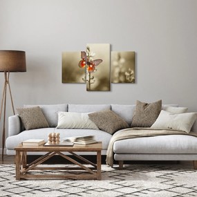 Tablou cu fluture (90x60 cm)