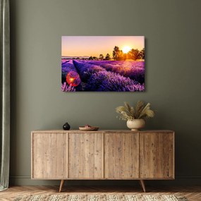 Tablou cu câmp de lavandă (90x60 cm)