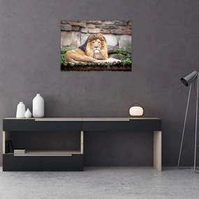 Tablou pe sticlă cu leu (70x50 cm)