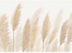Fototapetă XXL Pampas 360 x 254 cm, 4 părți