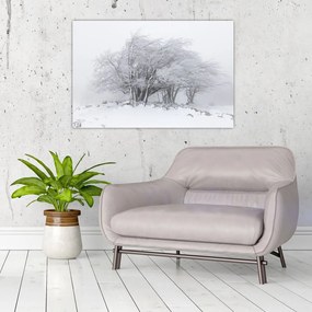 Tablou - Iarnă albă (90x60 cm)