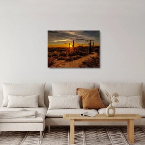 Tablou pe sticlă - Sfărșit de zi în deșertul Arizona (70x50 cm)