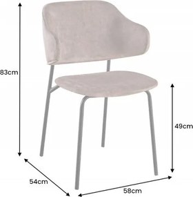 Set 2 scaune stil modern Tracy Alpine, catifea sampanie-greige