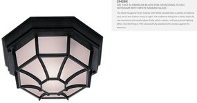 Plafoniera exterior stil traditional IP54 Outdoor 2942BK SRT