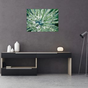 Tablou pe sticlă - Imagine macro a unei flori (70x50 cm)