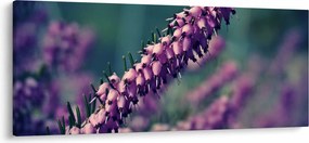 Tablou cu lavanda (120x50 cm)