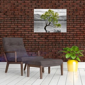 Tablou pe sticlă copacului în mijlocul lacului (70x50 cm)