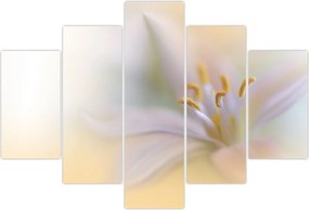 Tablou - Floare fragedă (150x105 cm)