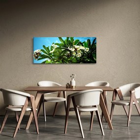Tablou - Plumeria (120x50 cm)