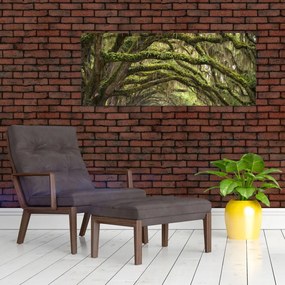 Tablou - Oaks Avenue, Charleston, Carolina de Sud, SUA (120x50 cm)