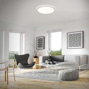 Plafonieră LED FREE LED/22W/230V d. 42 cm Briloner 3392-014