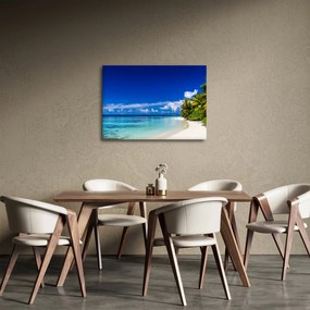 Tablou - Plaja tropicală (70x50 cm)