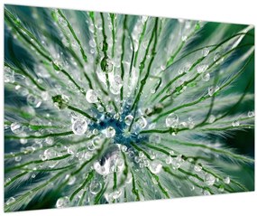 Tablou - Imagine macro a unei flori (90x60 cm)