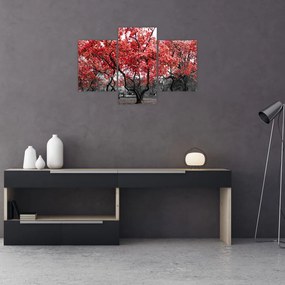 Tablou - Copacii roșii, Central Park, New York (90x60 cm)