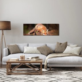 Tablou - Vulpe in pădure (cu ceas) (90x30 cm)