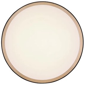 Plafonieră LED SAMMI LED/12W/230V 3000/4500/6000K Globo 41765-12