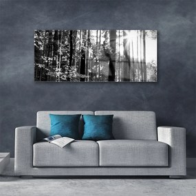 Tablou pe sticla Forest Nature Gray