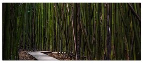 Tablou - Între bambus (120x50 cm)