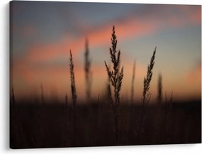 Tablou - Silueta plantei (70x50 cm)