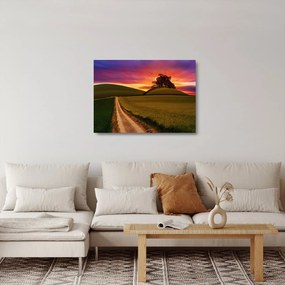 Tablou pe sticlă câmpului cu apus de soare (70x50 cm)