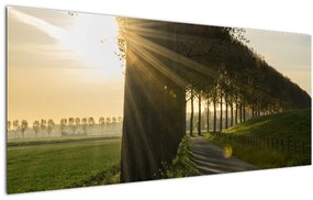 Tablou cu alee (120x50 cm)