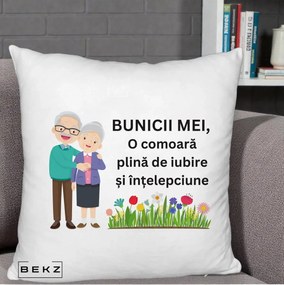 Cadou pentru Bunici - Perna Personalizata Bunicii Mei Comoara Cuplu Senior cu Flori Colorat, 40x40 cm, Alb Pufos, Husa Detasabila, Perna Inclusa, BEKZ®