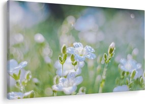 Tablou - Flori delicate (90x60 cm)