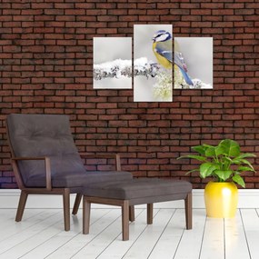 Tablou - Pițigoi (90x60 cm)