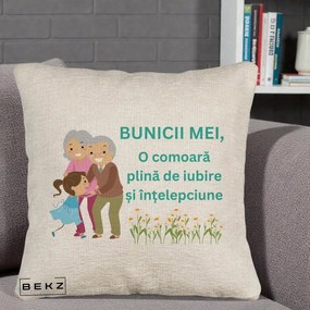 Cadou pentru Bunici - Perna Personalizata Bunicii Mei Comoara Iubire Intelepciune Nepoata, 40x40 cm, Bej Canapea, Husa Detasabila, Perna Inclusa, BEKZ®