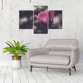 Tablou - Detaliu florii de trandafir (90x60 cm)