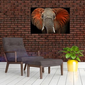 Tablou - Elefanți cu Tsavo (90x60 cm)