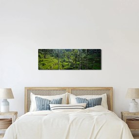 Tablou cu terasele cu orez Tegalalang, Bali (cu ceas) (90x30 cm)