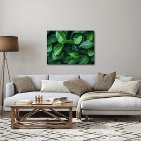 Tablou - Frunze verzi (70x50 cm)