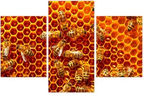 Tablou - Fagure de miere (90x60 cm)