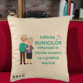 Cadou pentru Bunici - Perna Personalizata Bunicii Iubirea Infloreste Cuplu Senior Teal, 40x40 cm, Bej, Husa Detasabila, Perna Inclusa, BEKZ®
