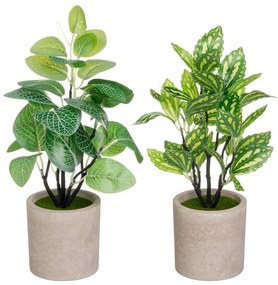 Plante artificiale 2 buc. (înălțime 28 cm) – Casa Selección