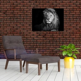 Tablou - Leu, alb și negru (70x50 cm)