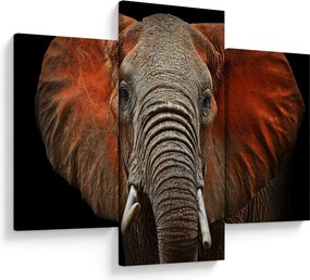 Tablou - Elefanți cu Tsavo (90x60 cm)