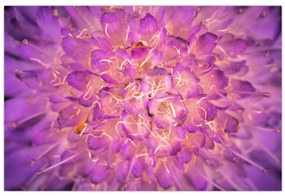 Tablou detailat cu floare (90x60 cm)
