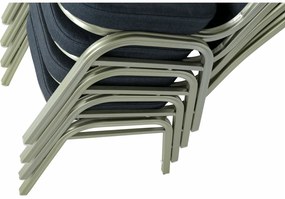 Scaun, gri/champagne, ZINA 2 NEW