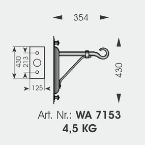 Aplica iluminat exterior din fier forjat, WL 3501