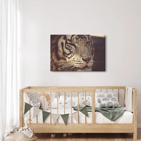 Tablou cu tigrul (90x60 cm)
